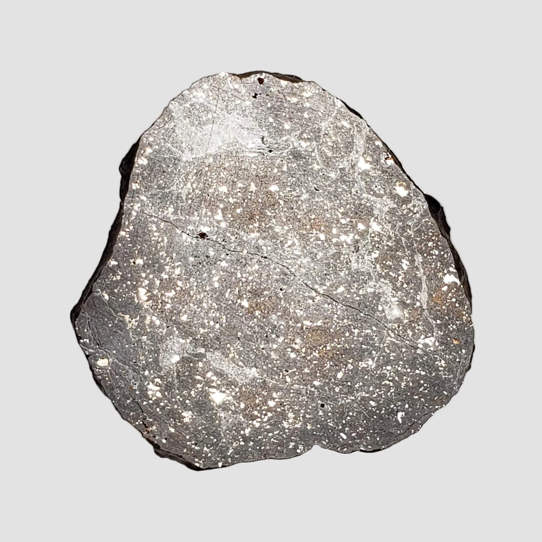  NWA 2779 Meteorite | 7.9 Gr | Slice | L5 Chondrite | Northwest Africa 1