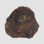  NWA 2779 Meteorite | 7.9 Gr | Slice | L5 Chondrite | Northwest Africa 3
