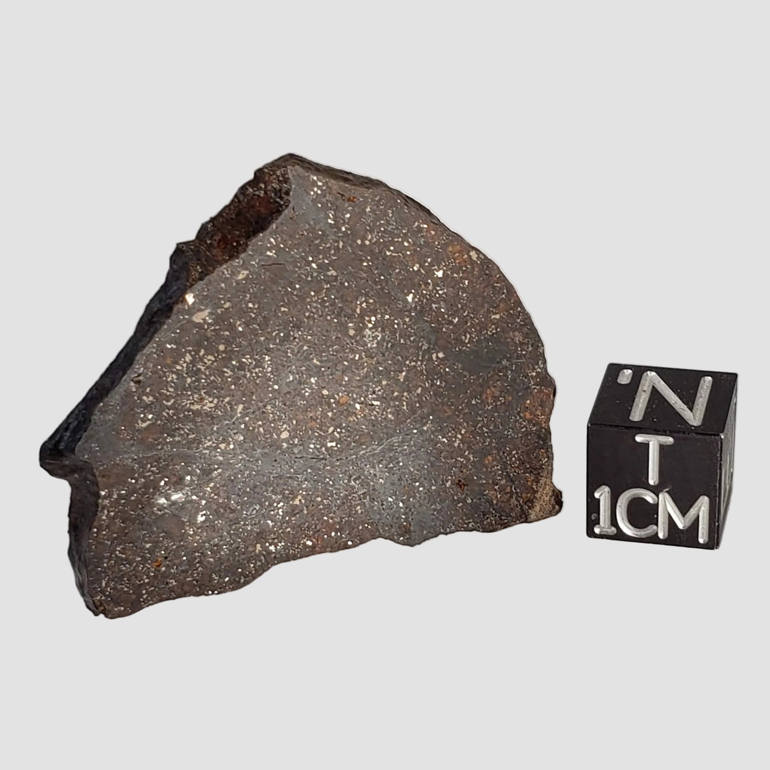 NWA 2781 Meteorite | 8.6 Gr | Slice | L4-5 Chondrite | Northwest Africa 0