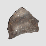NWA 2781 Meteorite | 8.6 Gr | Slice | L4-5 Chondrite | Northwest Africa 1