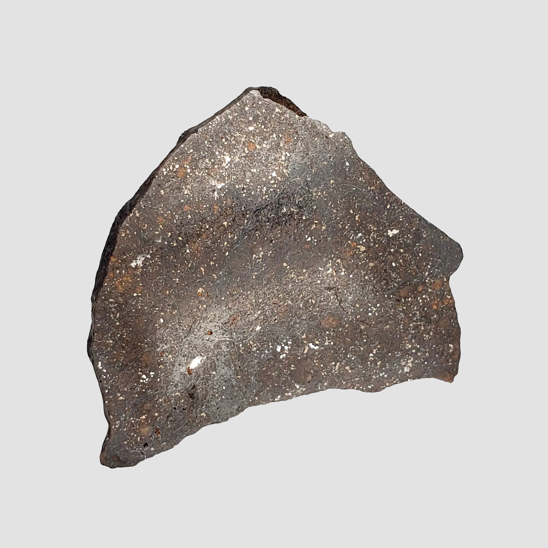 NWA 2781 Meteorite | 8.6 Gr | Slice | L4-5 Chondrite | Northwest Africa 1