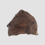 NWA 2781 Meteorite | 8.6 Gr | Slice | L4-5 Chondrite | Northwest Africa 3
