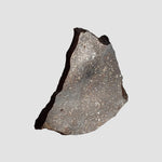 NWA 2781 Meteorite | 8.6 Gr | Slice | L4-5 Chondrite | Northwest Africa 4