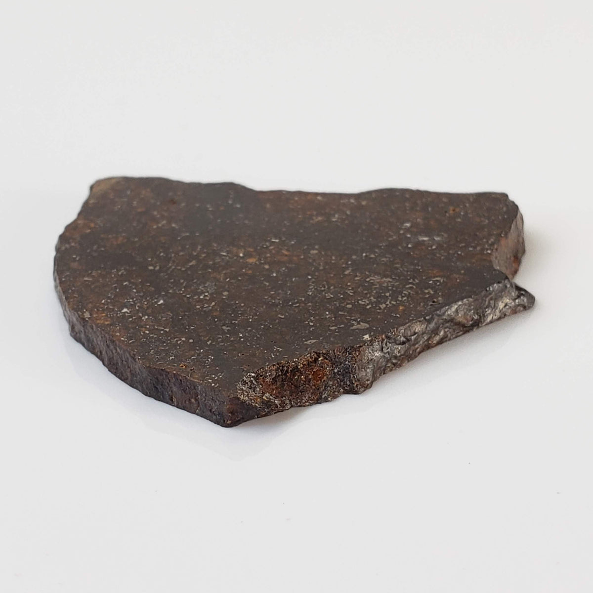 NWA 2781 Meteorite | 8.6 Gr | Slice | L4-5 Chondrite | Northwest Africa 5