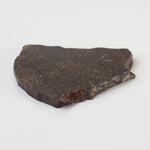 NWA 2781 Meteorite | 8.6 Gr | Slice | L4-5 Chondrite | Northwest Africa 5