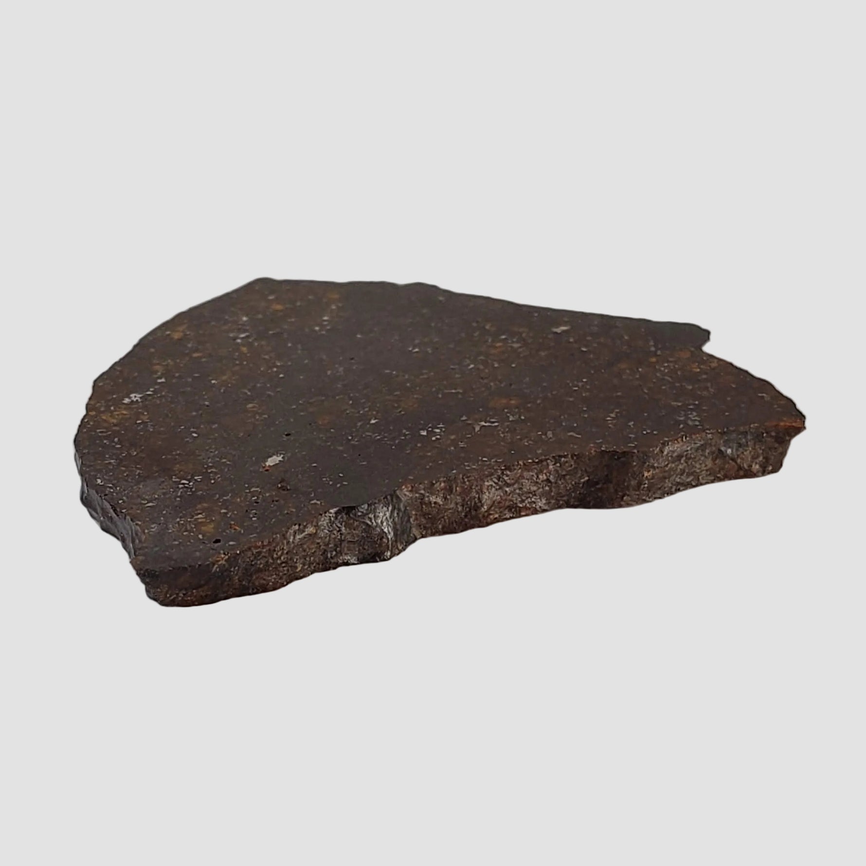 NWA 2781 Meteorite | 8.6 Gr | Slice | L4-5 Chondrite | Northwest Africa 6