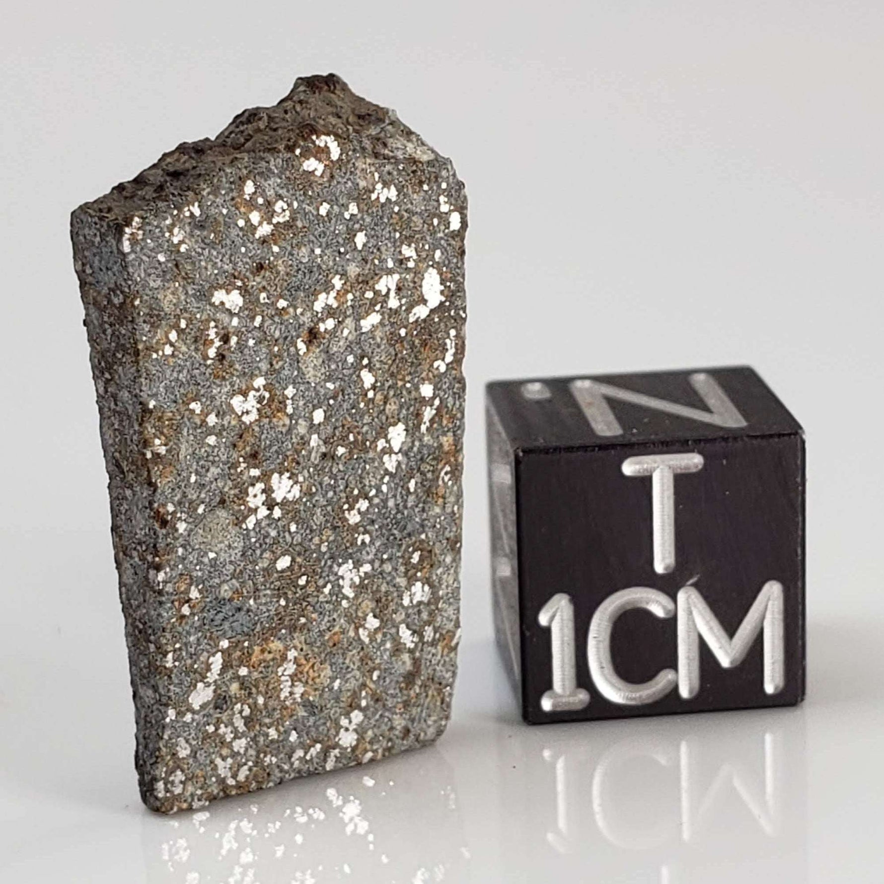  NWA 2838 Meteorite | 2.8 grams | Part Slice | L4 Chondrite | Very Low TKW 