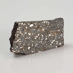  NWA 2838 Meteorite | 2.8 grams | Part Slice | L4 Chondrite | Very Low TKW 1