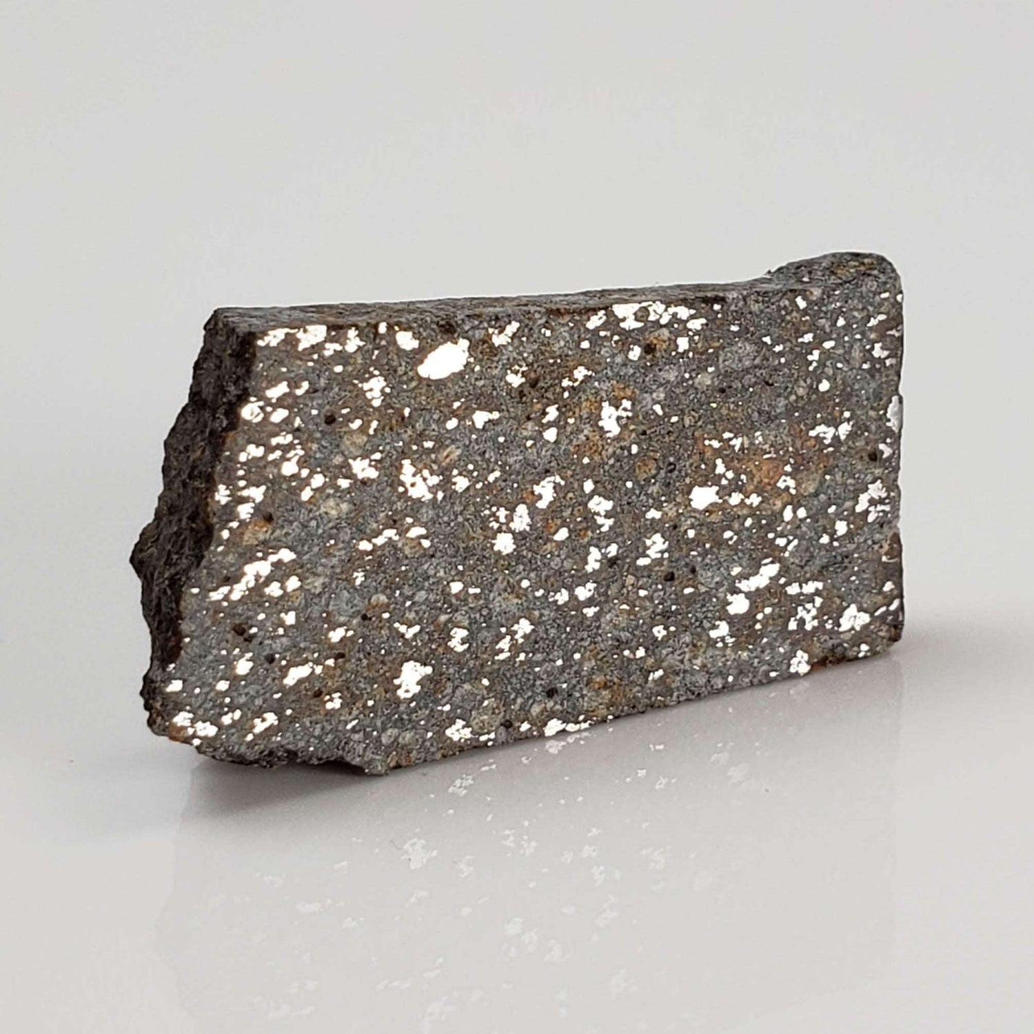  NWA 2838 Meteorite | 2.8 grams | Part Slice | L4 Chondrite | Very Low TKW 1