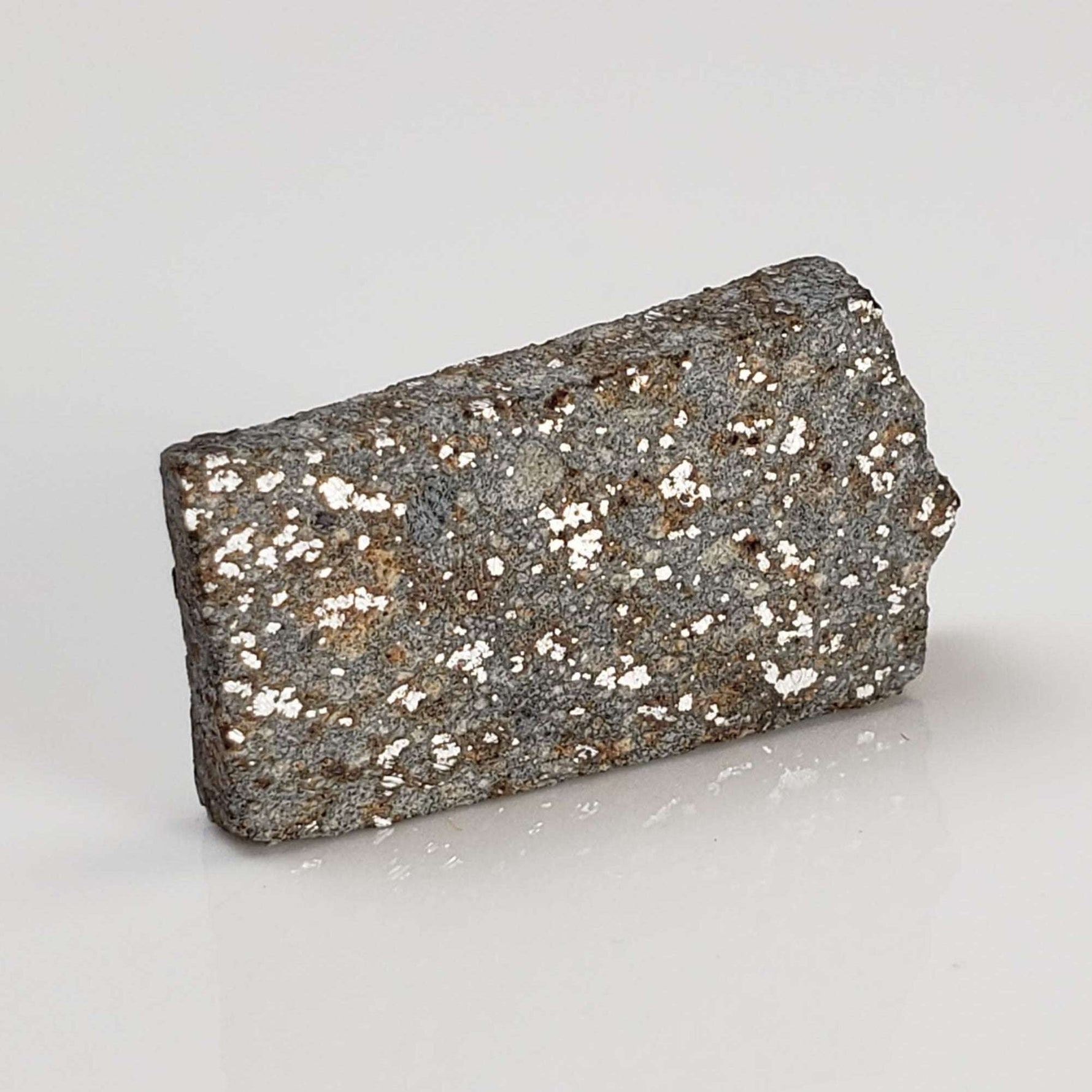  NWA 2838 Meteorite | 2.8 grams | Part Slice | L4 Chondrite | Very Low TKW 2