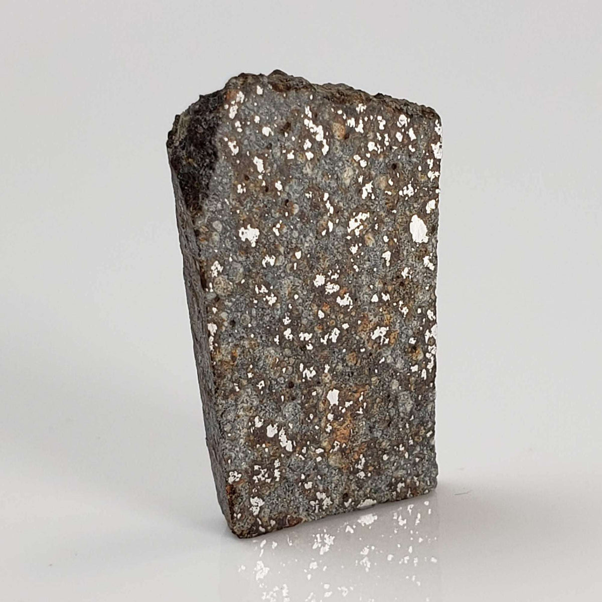  NWA 2838 Meteorite | 2.8 grams | Part Slice | L4 Chondrite | Very Low TKW 3