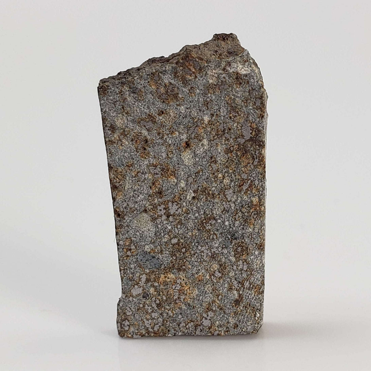  NWA 2838 Meteorite | 2.8 grams | Part Slice | L4 Chondrite | Very Low TKW 5