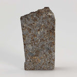  NWA 2838 Meteorite | 2.8 grams | Part Slice | L4 Chondrite | Very Low TKW 5