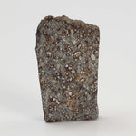  NWA 2838 Meteorite | 2.8 grams | Part Slice | L4 Chondrite | Very Low TKW 6