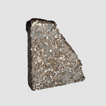  NWA 2838 Meteorite | 4.1 grams | Part Slice | L4 Chondrite | Low TKW 1