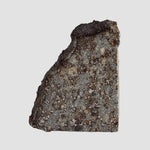  NWA 2838 Meteorite | 4.1 grams | Part Slice | L4 Chondrite | Low TKW 3