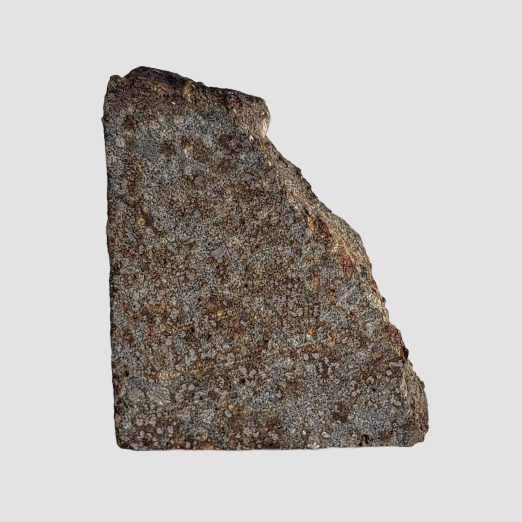  NWA 2838 Meteorite | 4.1 grams | Part Slice | L4 Chondrite | Low TKW 4