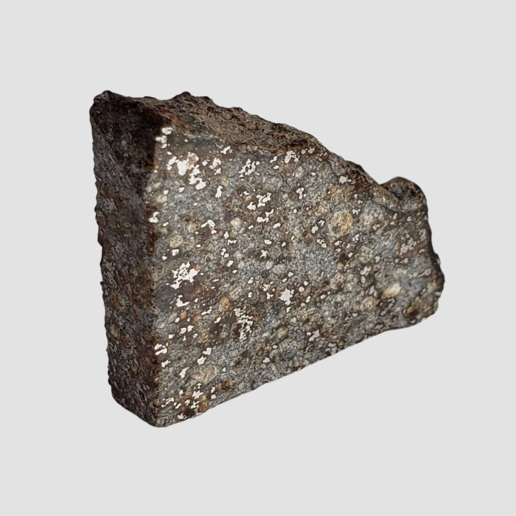  NWA 2838 Meteorite | 4.1 grams | Part Slice | L4 Chondrite | Low TKW 7