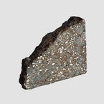  NWA 2838 Meteorite | 4.1 grams | Part Slice | L4 Chondrite | Low TKW 8
