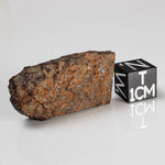  NWA 2841 Meteorite | 8.0 grams | Part Slice | H3.9 Chondrite | Low TKW 