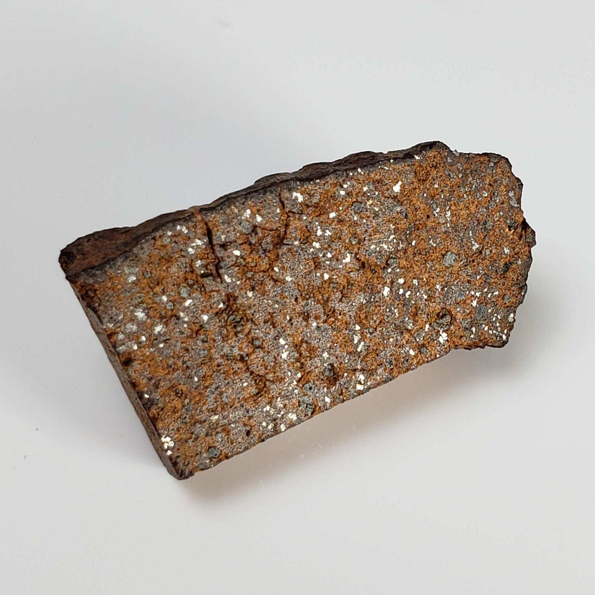  NWA 2841 Meteorite | 8.0 grams | Part Slice | H3.9 Chondrite | Low TKW 1