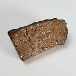  NWA 2841 Meteorite | 8.0 grams | Part Slice | H3.9 Chondrite | Low TKW 1