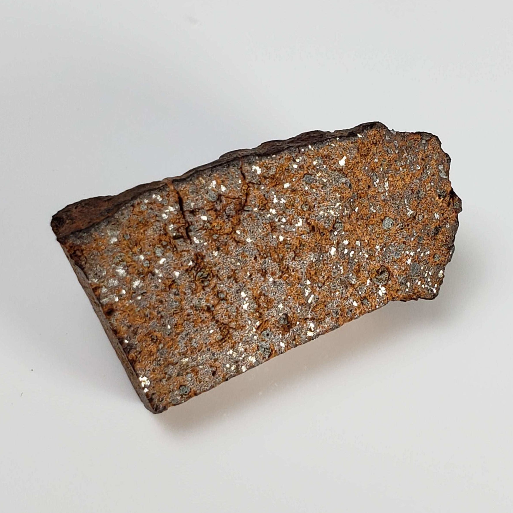  NWA 2841 Meteorite | 8.0 grams | Part Slice | H3.9 Chondrite | Low TKW 1