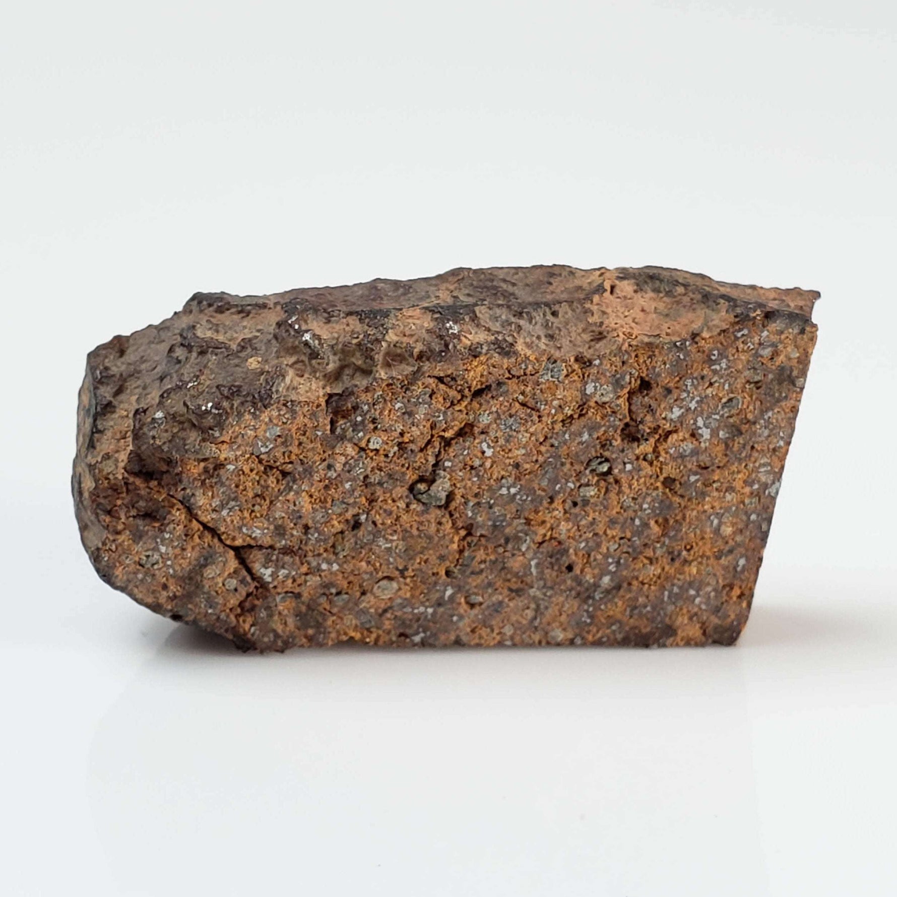  NWA 2841 Meteorite | 8.0 grams | Part Slice | H3.9 Chondrite | Low TKW 3