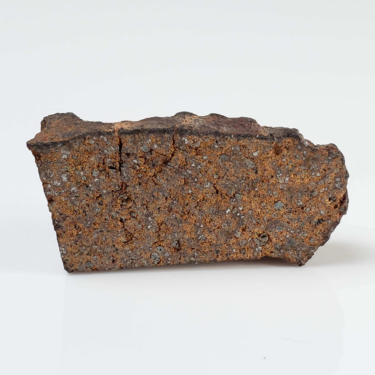  NWA 2841 Meteorite | 8.0 grams | Part Slice | H3.9 Chondrite | Low TKW 4