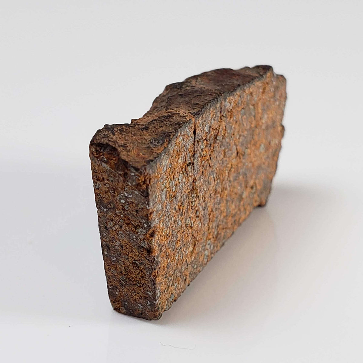  NWA 2841 Meteorite | 8.0 grams | Part Slice | H3.9 Chondrite | Low TKW 6