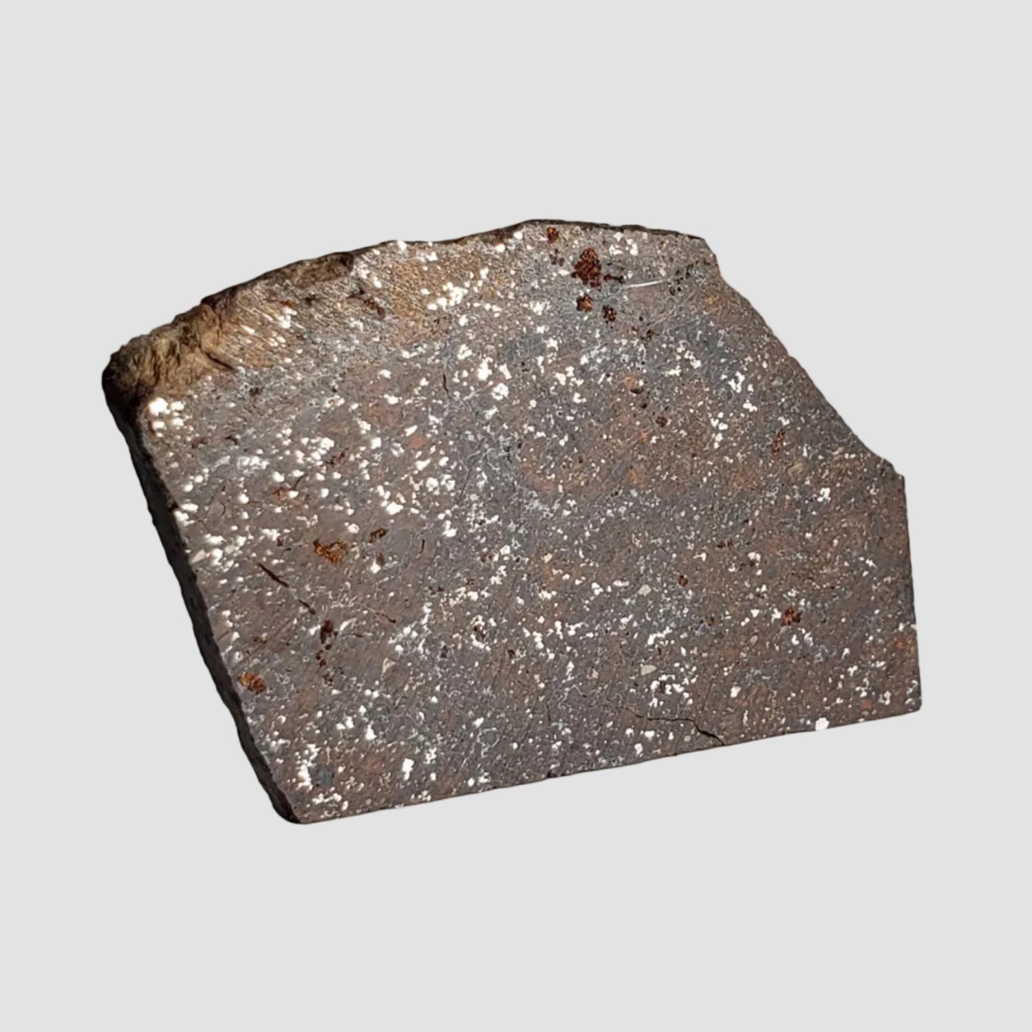 NWA 2845 Meteorite | 3.7 Grams | Part Slice | H4 | Sahara Desert