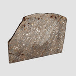  NWA 2845 Meteorite | 3.7 Grams | Part Slice | H4 | Sahara Desert 2