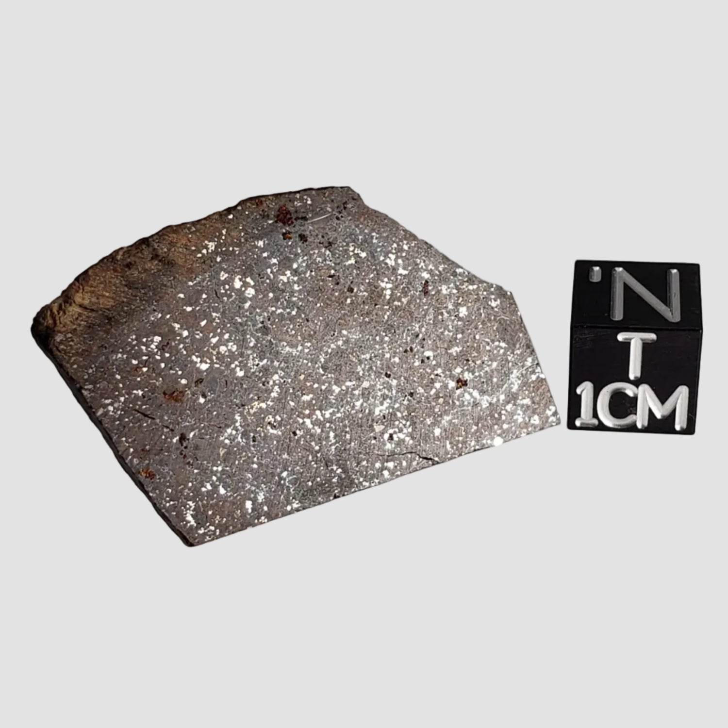 NWA 2845 Meteorite | 3.7 Grams | Part Slice | H4 | Sahara Desert