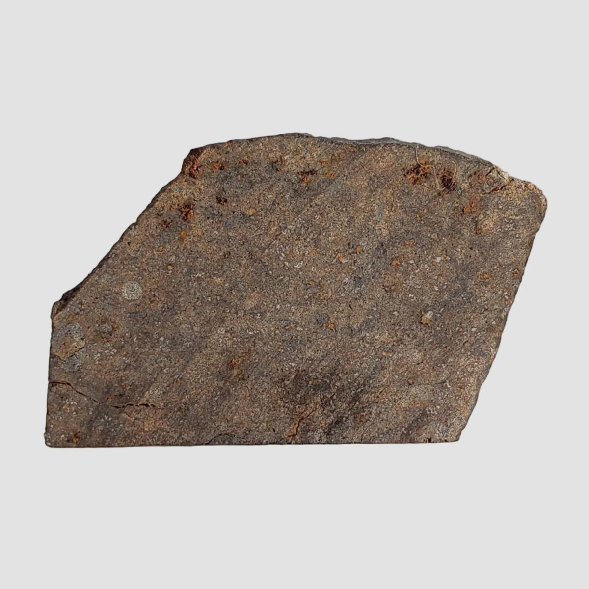  NWA 2845 Meteorite | 3.7 Grams | Part Slice | H4 | Sahara Desert 5