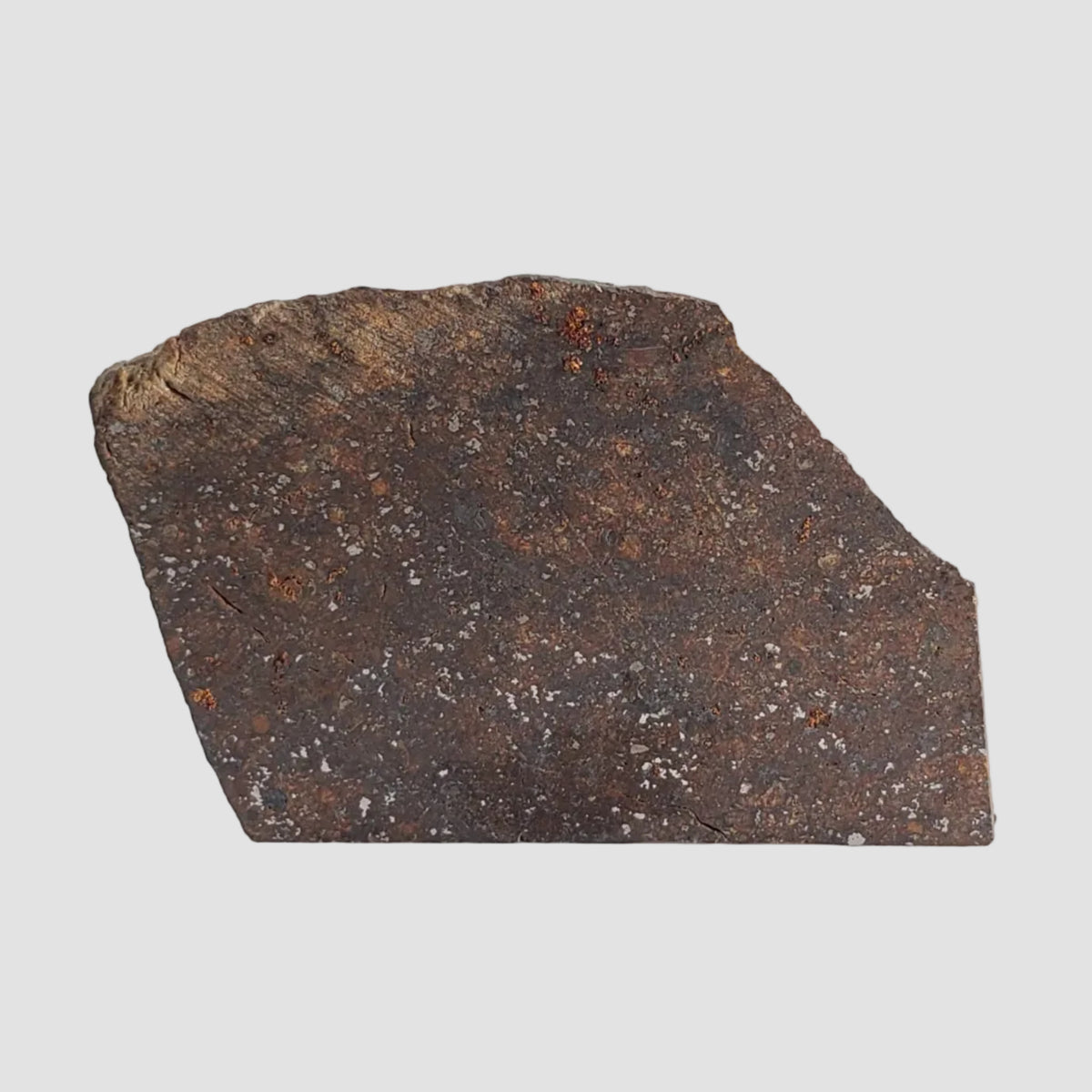  NWA 2845 Meteorite | 3.7 Grams | Part Slice | H4 | Sahara Desert 6