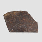  NWA 2845 Meteorite | 3.7 Grams | Part Slice | H4 | Sahara Desert 6