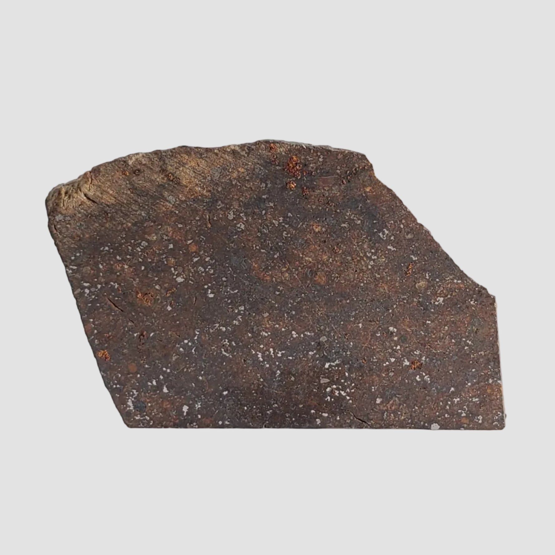  NWA 2845 Meteorite | 3.7 Grams | Part Slice | H4 | Sahara Desert 6