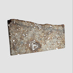 NWA 2848 Meteorite | 4.4 grams | Part Slice | L4 | Low TKW 1
