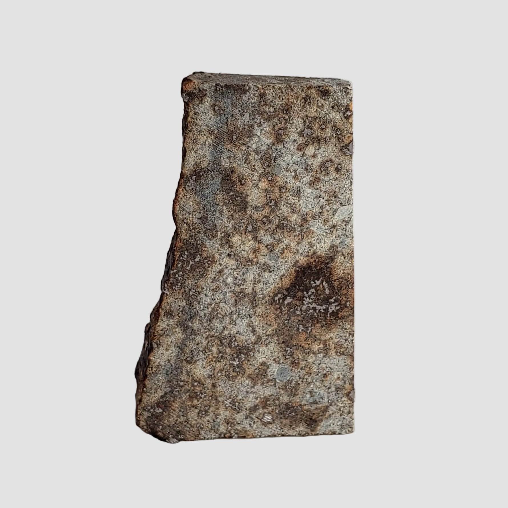 NWA 2848 Meteorite | 4.4 grams | Part Slice | L4 | Low TKW 2