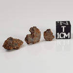  NWA 2849 Meteorite | 1.88 grams | Micro | L4 | Low TKW 