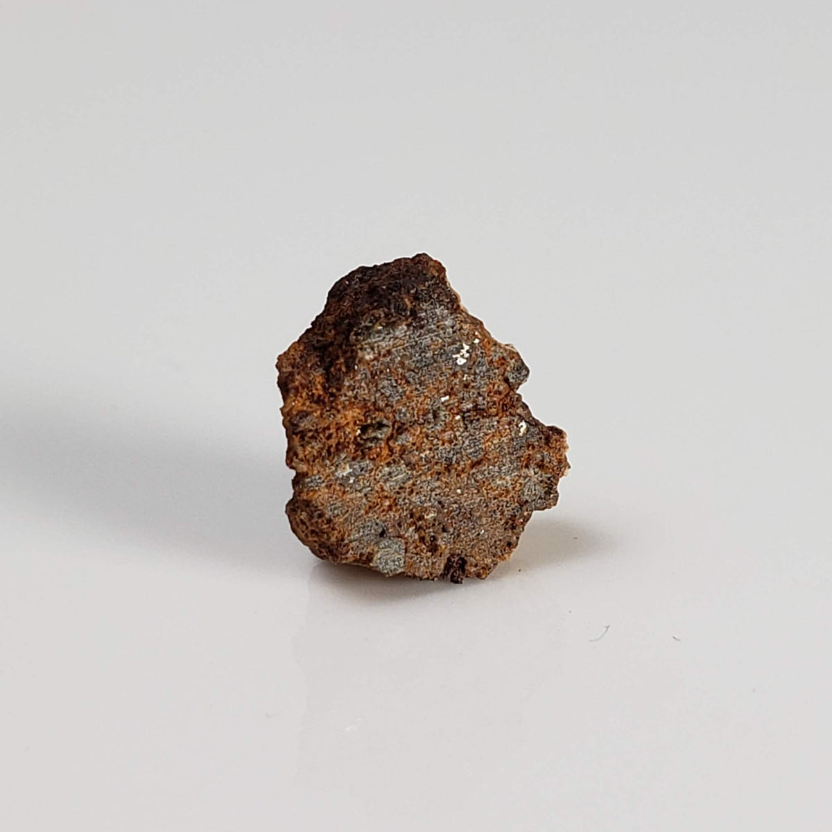  NWA 2849 Meteorite | 1.88 grams | Micro | L4 | Low TKW 3