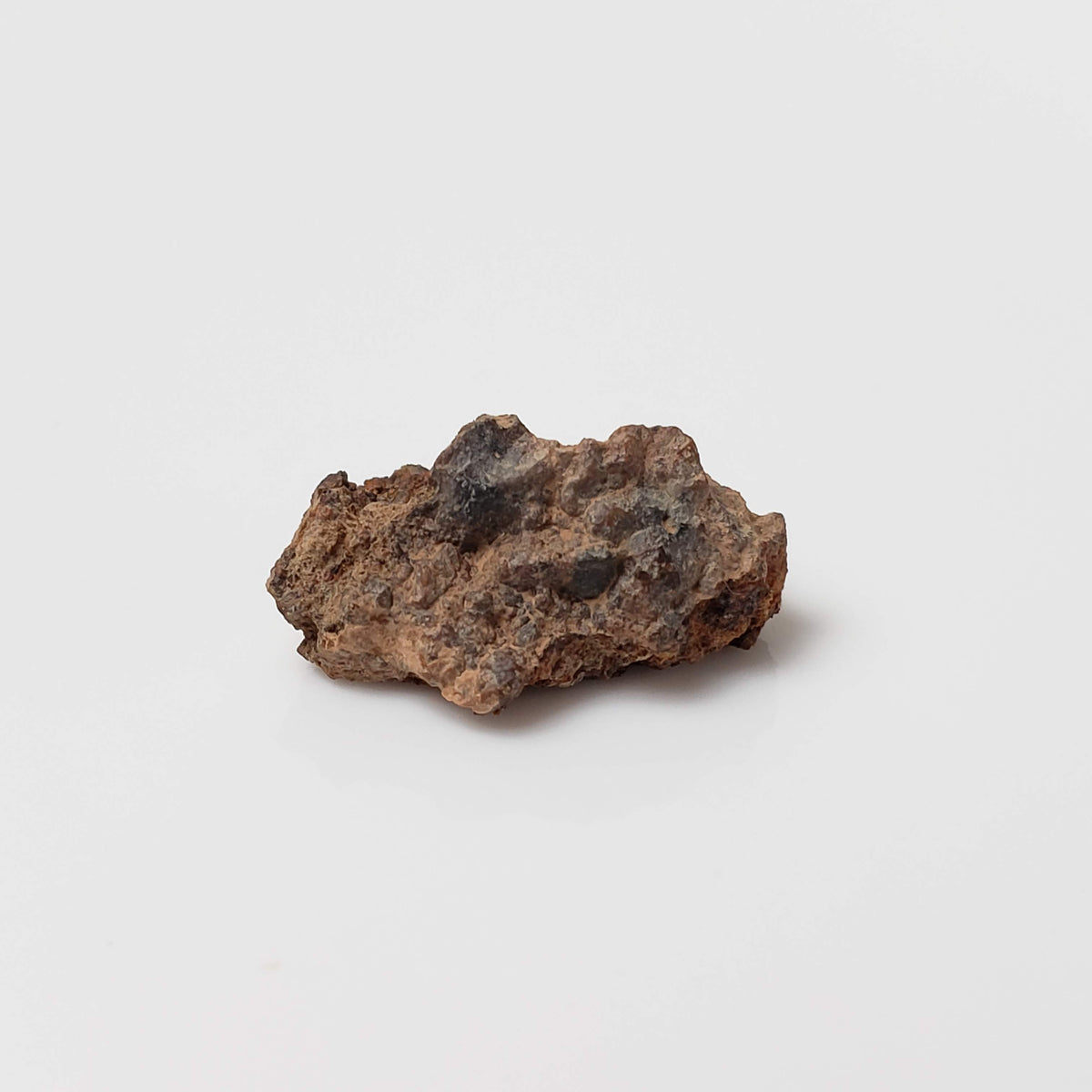  NWA 2849 Meteorite | 1.88 grams | Micro | L4 | Low TKW 4