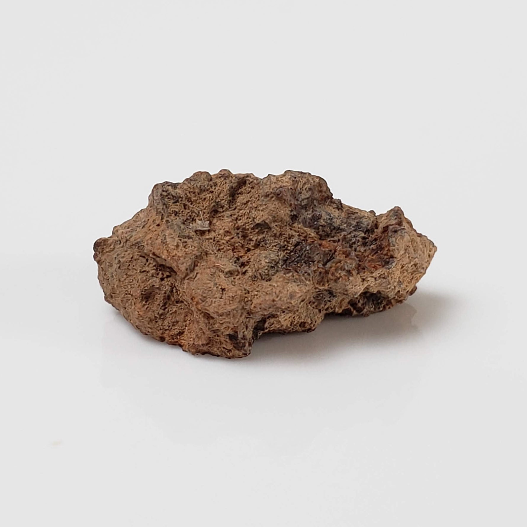  NWA 2849 Meteorite | 1.88 grams | Micro | L4 | Low TKW 5