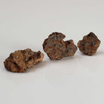  NWA 2849 Meteorite | 1.88 grams | Micro | L4 | Low TKW 1