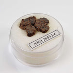  NWA 2849 Meteorite | 1.88 grams | Micro | L4 | Low TKW 6