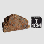  NWA 2849 Meteorite | 4.02 grams | Part Slice | L4 | Low TKW 