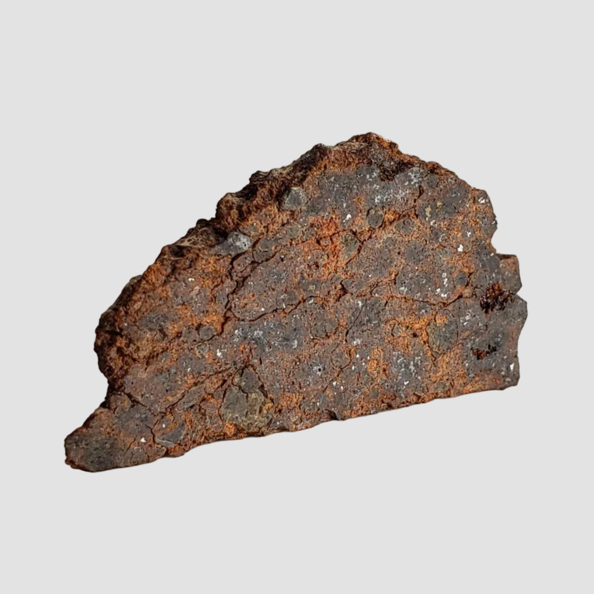  NWA 2849 Meteorite | 4.02 grams | Part Slice | L4 | Low TKW 1