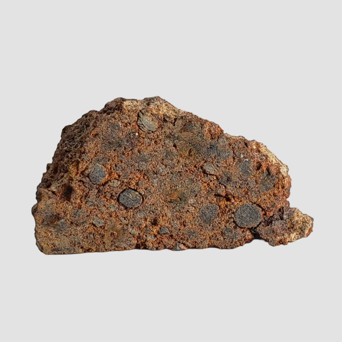  NWA 2849 Meteorite | 4.02 grams | Part Slice | L4 | Low TKW 5