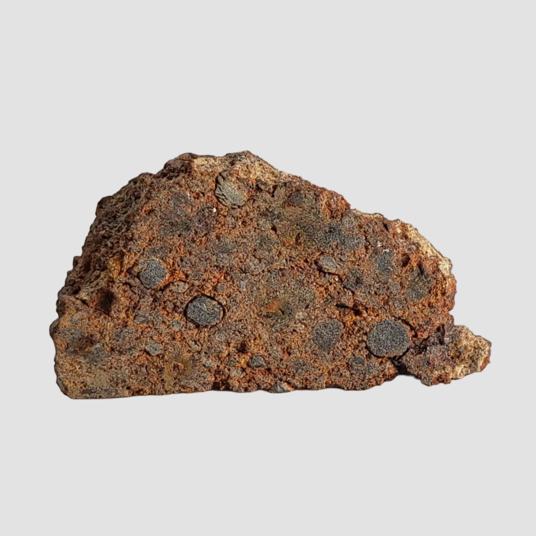  NWA 2849 Meteorite | 4.02 grams | Part Slice | L4 | Low TKW 5