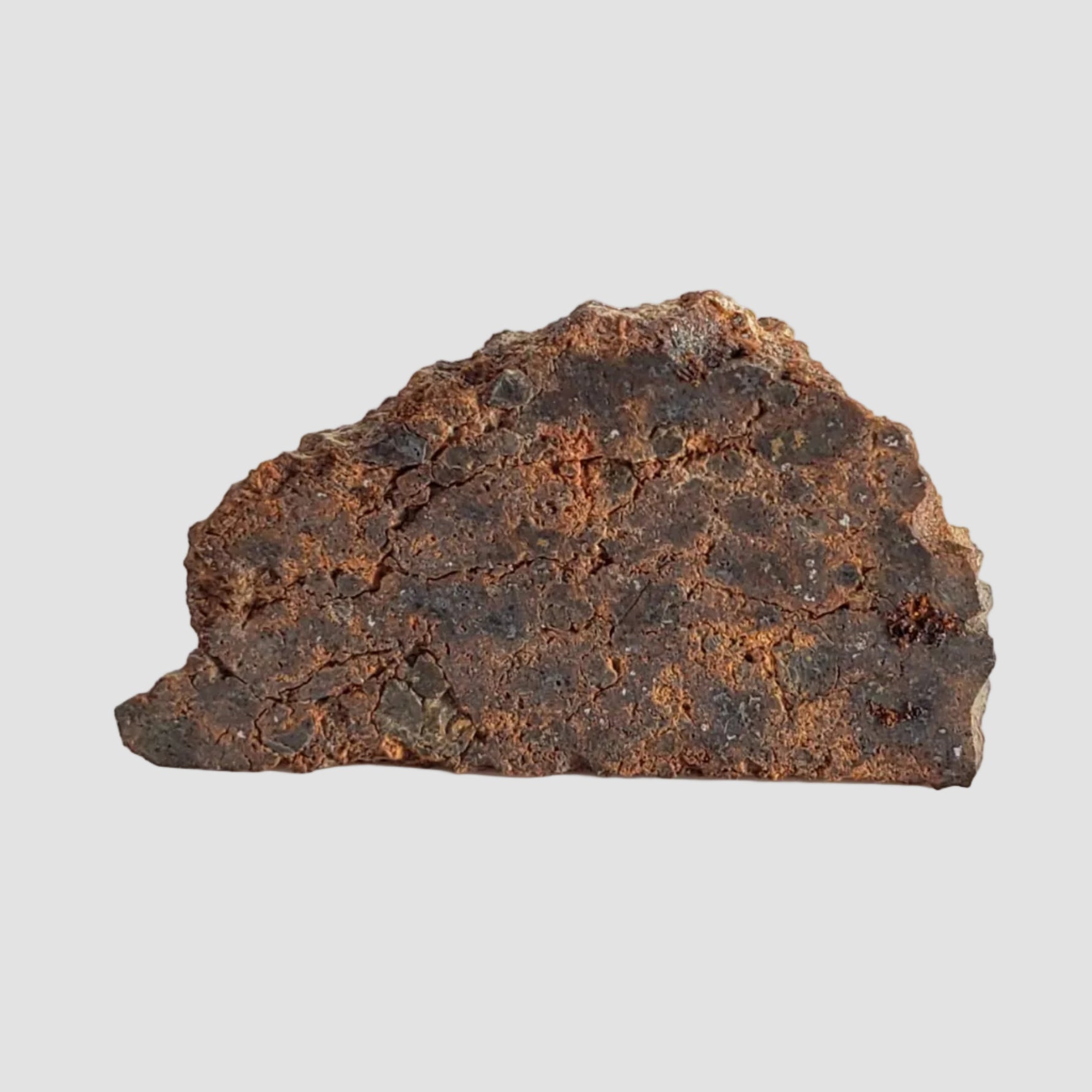  NWA 2849 Meteorite | 4.02 grams | Part Slice | L4 | Low TKW 6